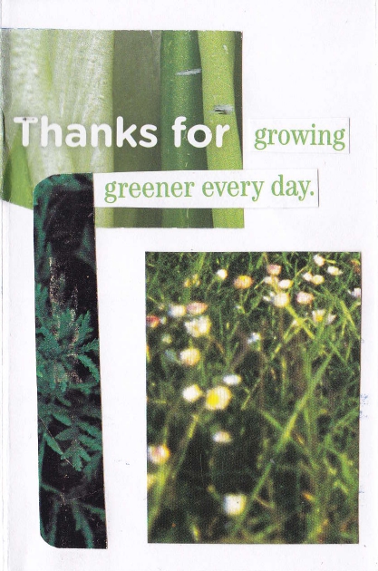 Screenshot 2 for Thank you for growing greener every day