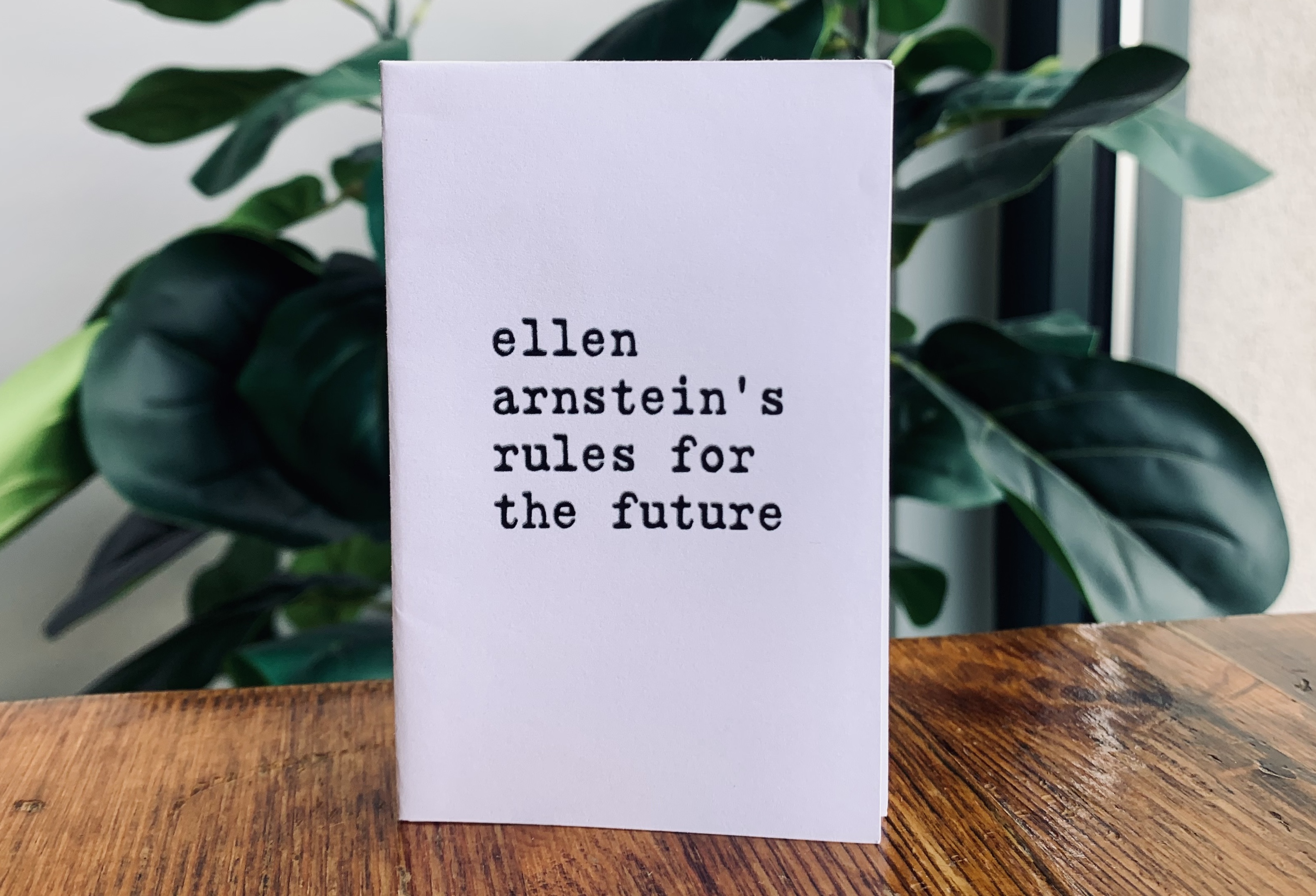 Screenshot 2 for Ellen Arnstein's Rules for the Future