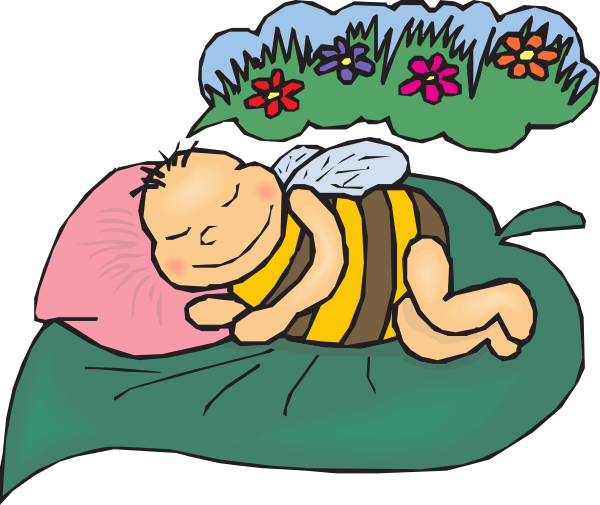 Bees Vs Butterfly