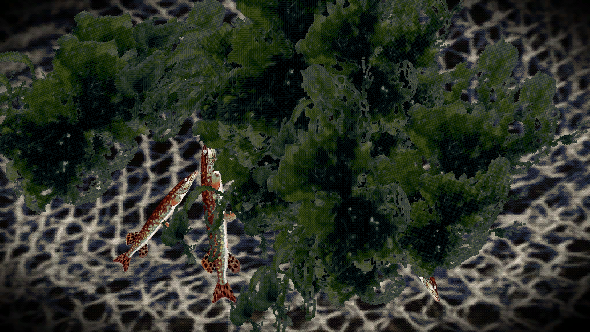 Screenshot 7 for Whispers from Kalligon DEMO