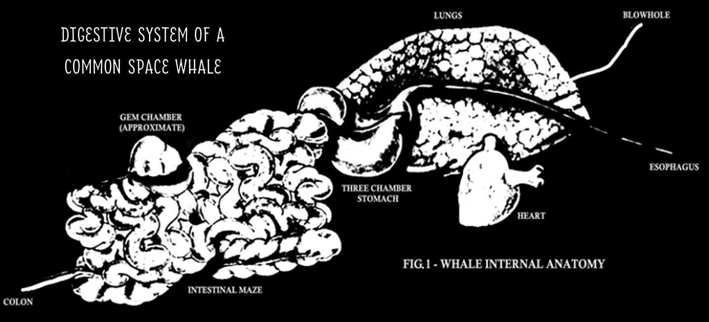 Screenshot 4 for THE SPACE WHALE IS HUNGRY