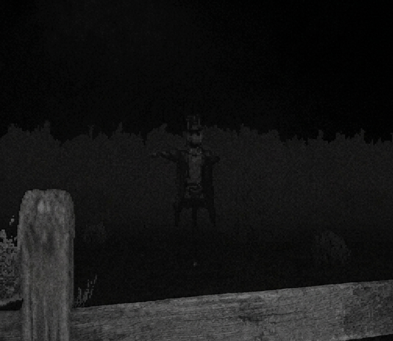 Screenshot 3 for it's not my horse