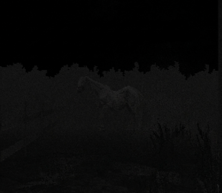 Screenshot 5 for it's not my horse