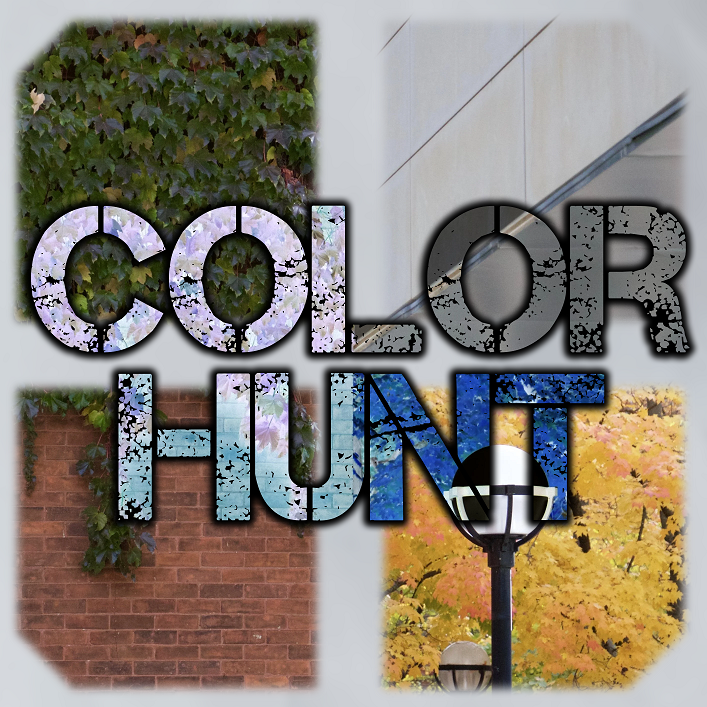 Screenshot 2 for Color Hunt - Print and Play - One Page Rules