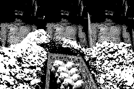 Screenshot 3 for doves drifting down