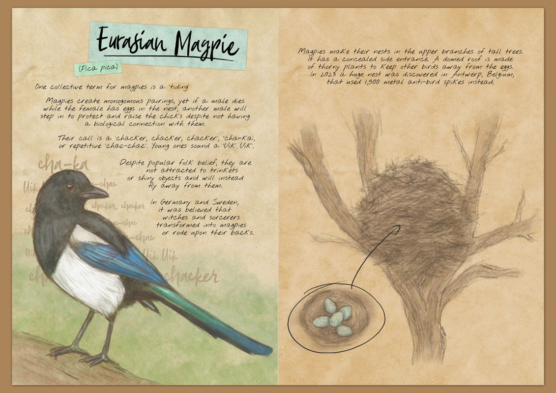 Screenshot 3 for My Feathered Friends