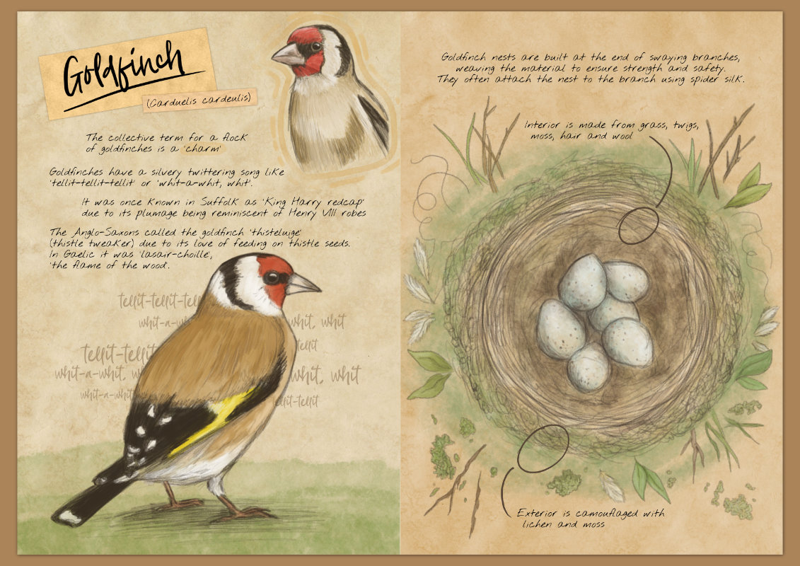 Screenshot 4 for My Feathered Friends
