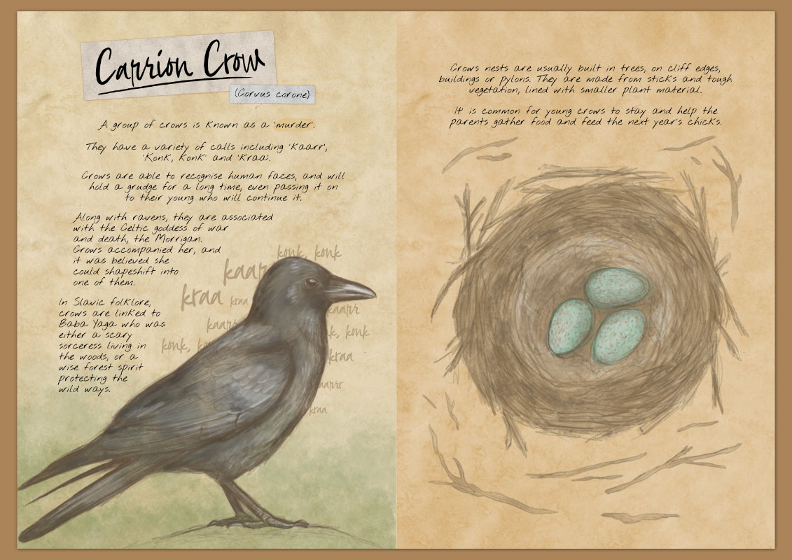 Screenshot 2 for My Feathered Friends