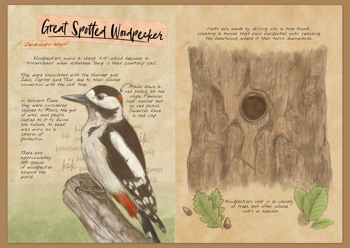 Screenshot 5 for My Feathered Friends