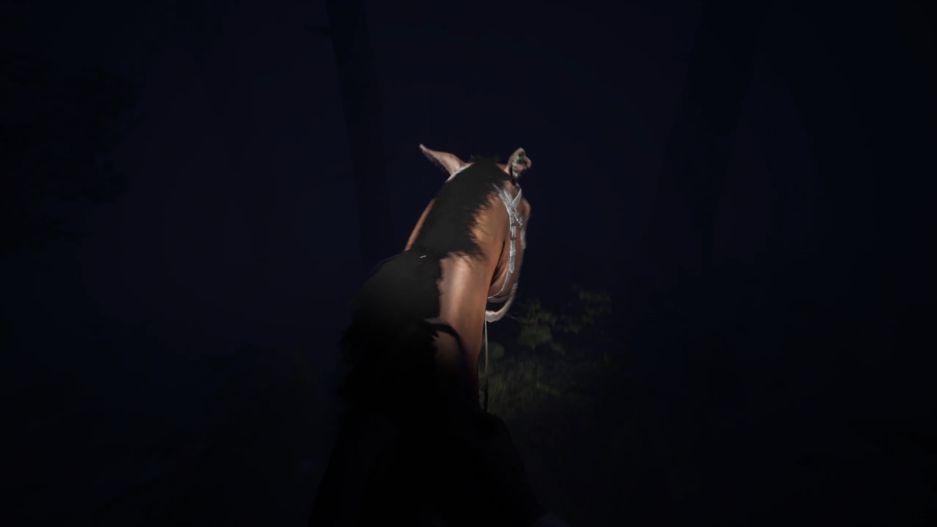 Screenshot 5 for Midnight Ride