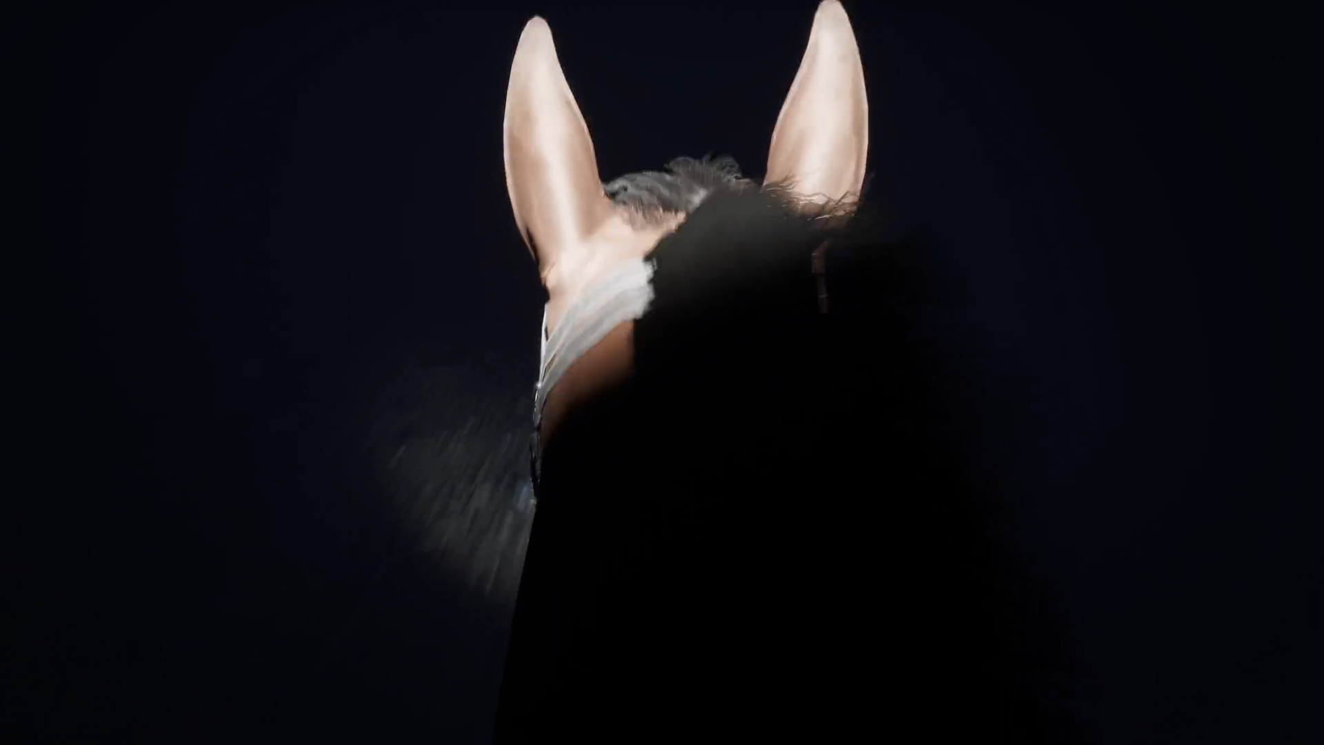 Screenshot 4 for Midnight Ride