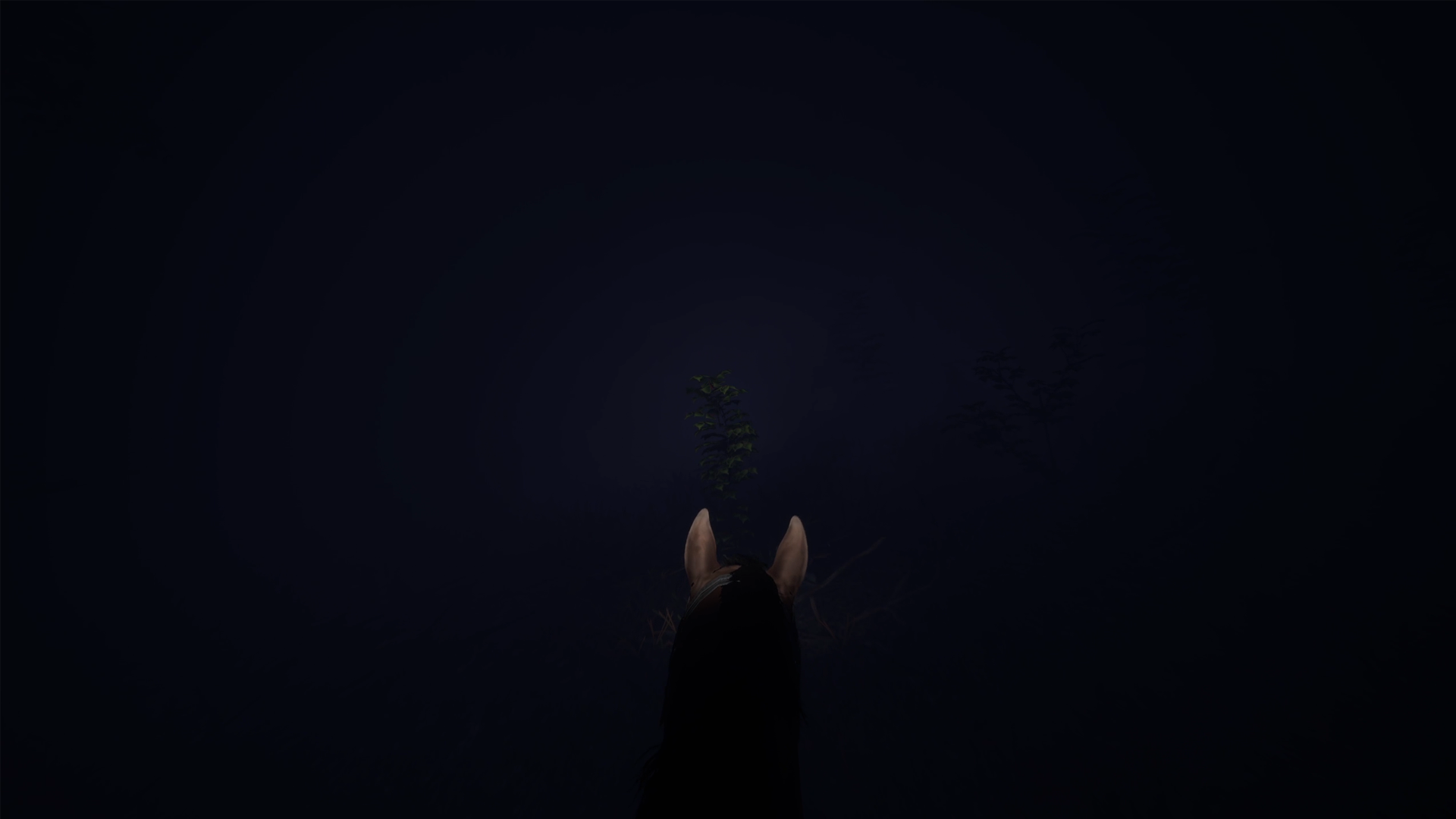 Screenshot 2 for Midnight Ride