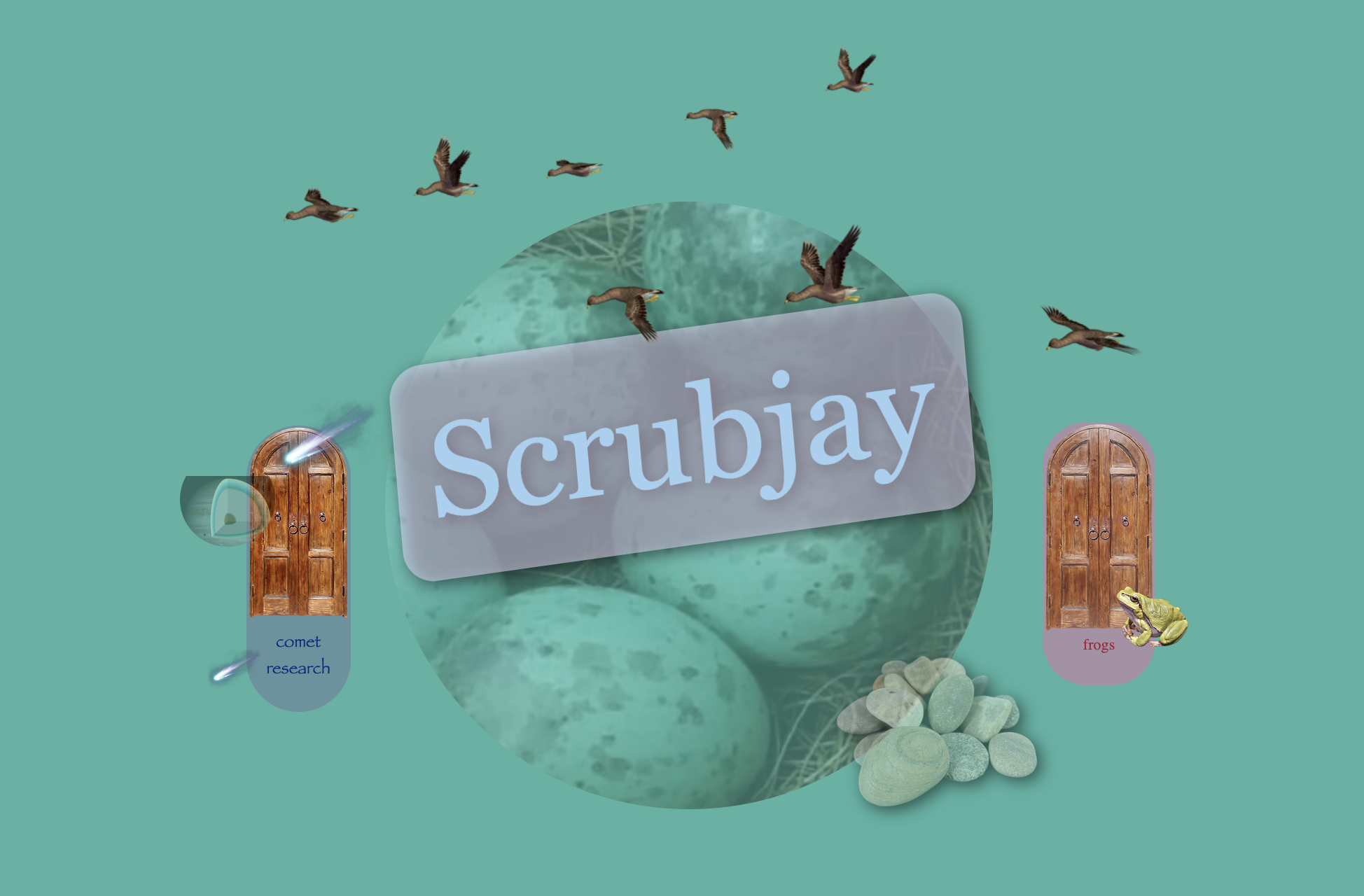 Screenshot 2 for Scrubjay