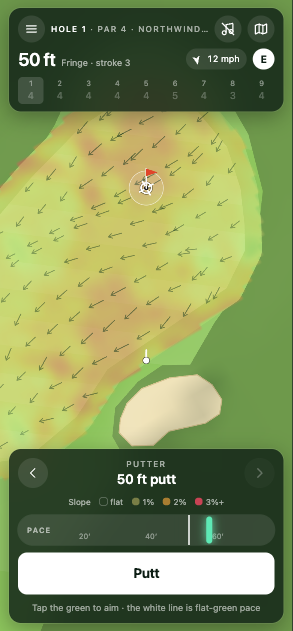 Screenshot 4 for Daily9 - Daily Golf Challenge
