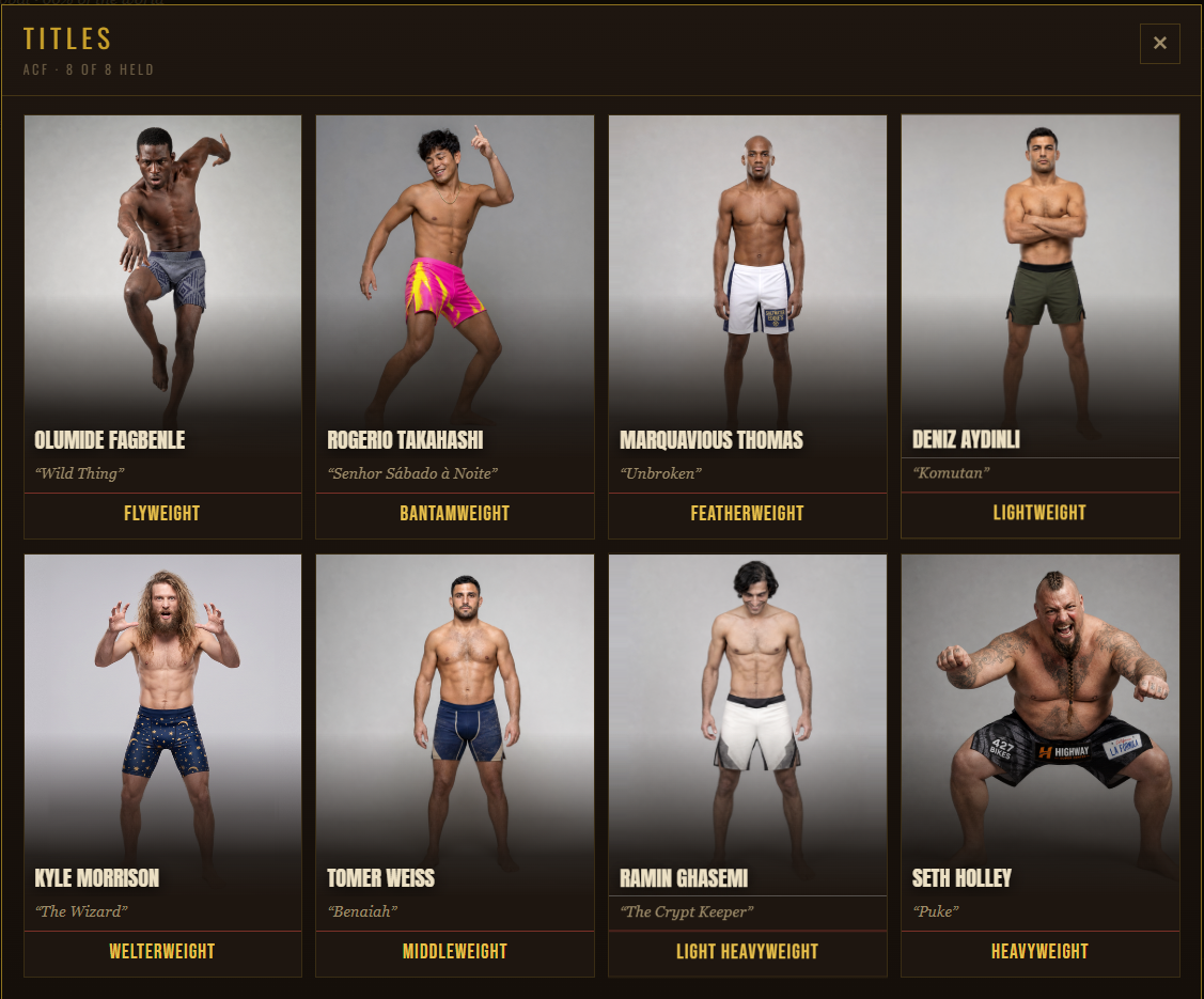 Screenshot 5 for The Fight Game