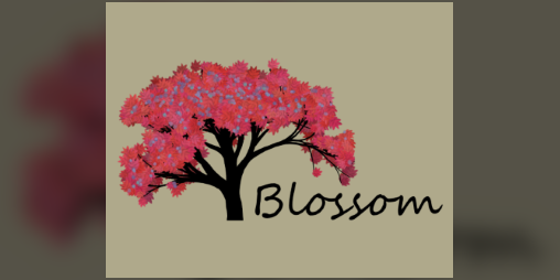 Cover image for Blossom