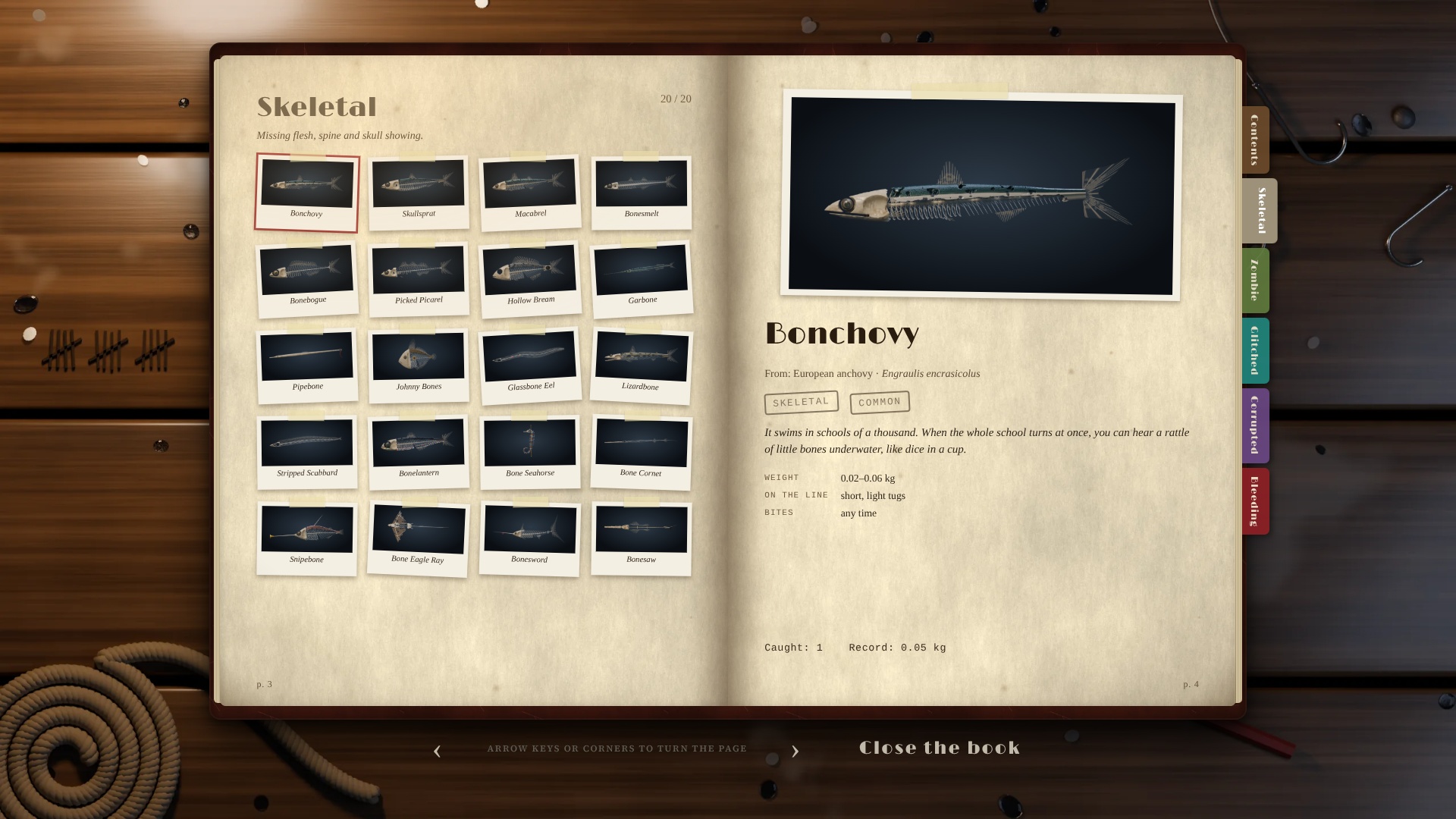 SPLASHLAND IS CLOSED! gameplay screenshot 3