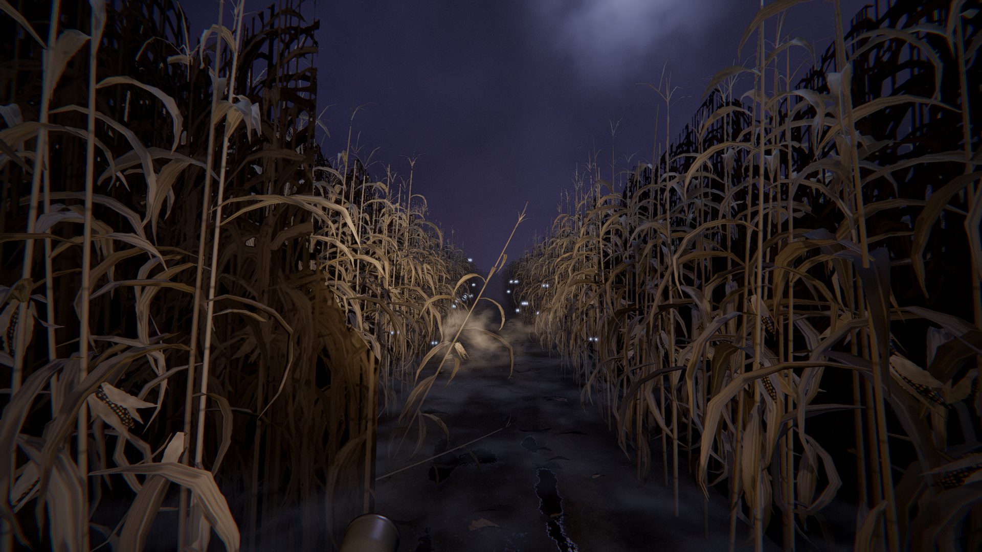 The path through the dead corn of the 1987 harvest maze