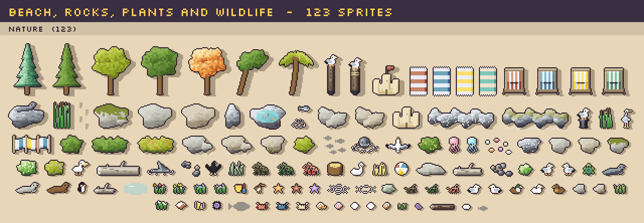 Beach, rocks, plants and wildlife