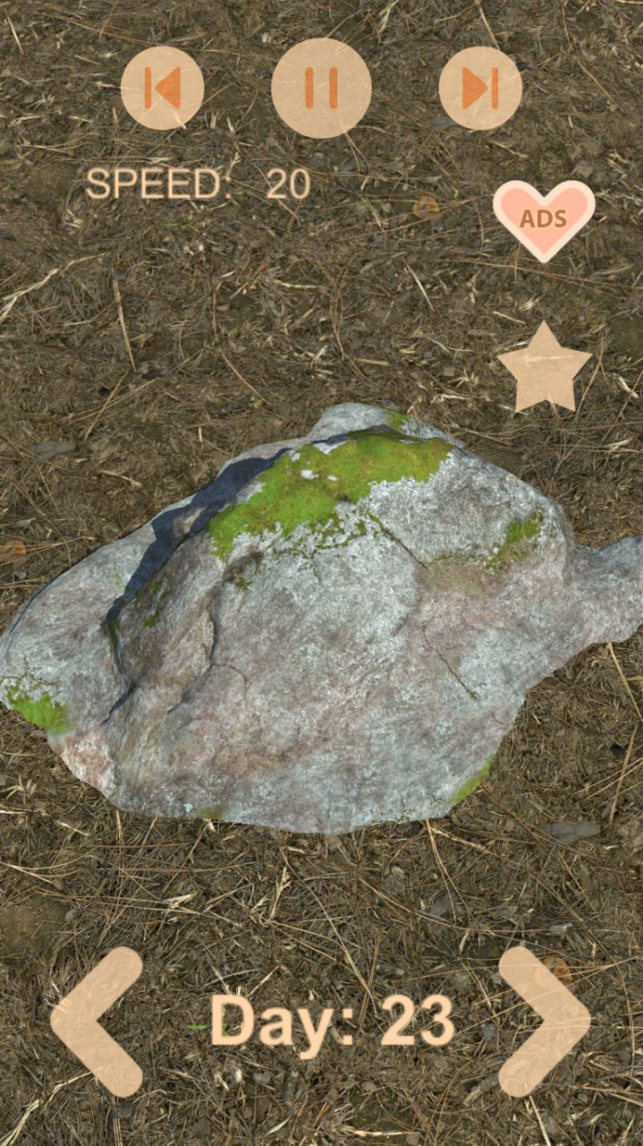 Rock life simulator