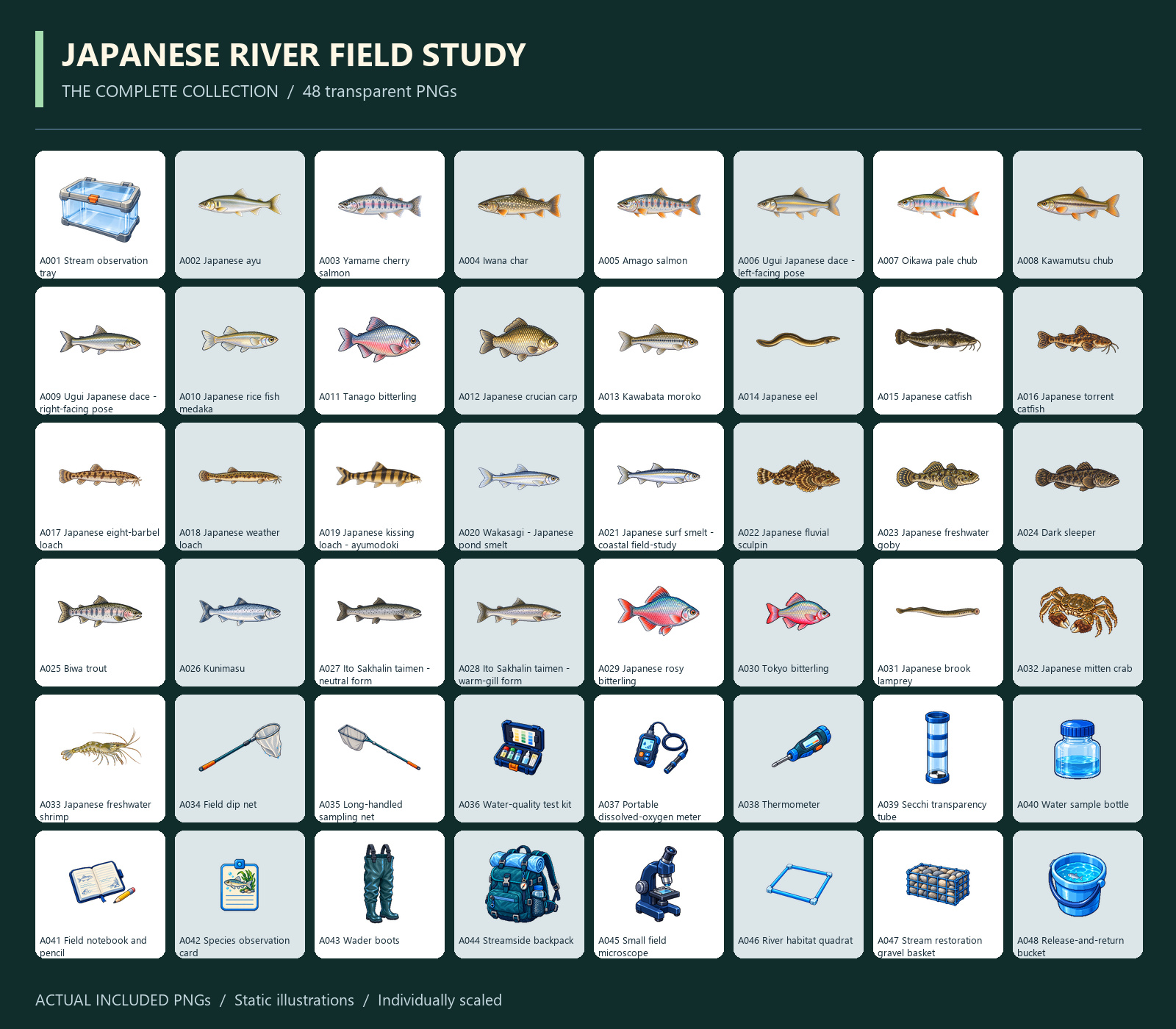 Now available: Japanese river life and field gear in 48 transparent ...