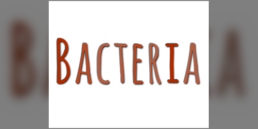 Cover image for Bacteria