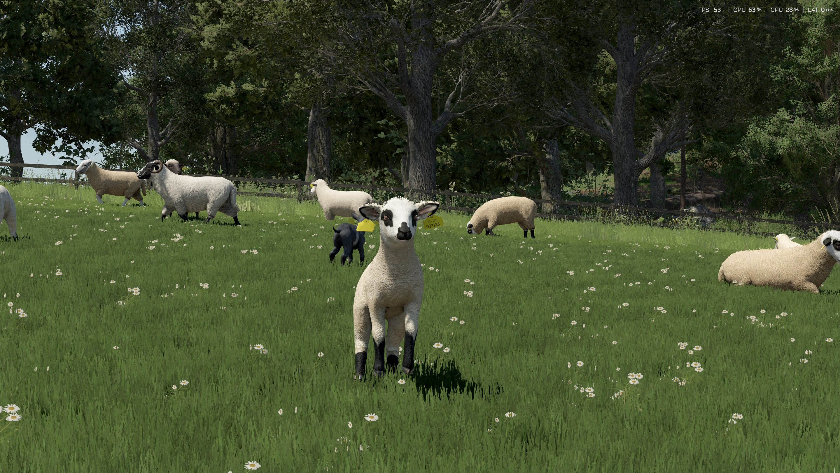 FS25 Sheep Breeds for RLRM by Con_Gan