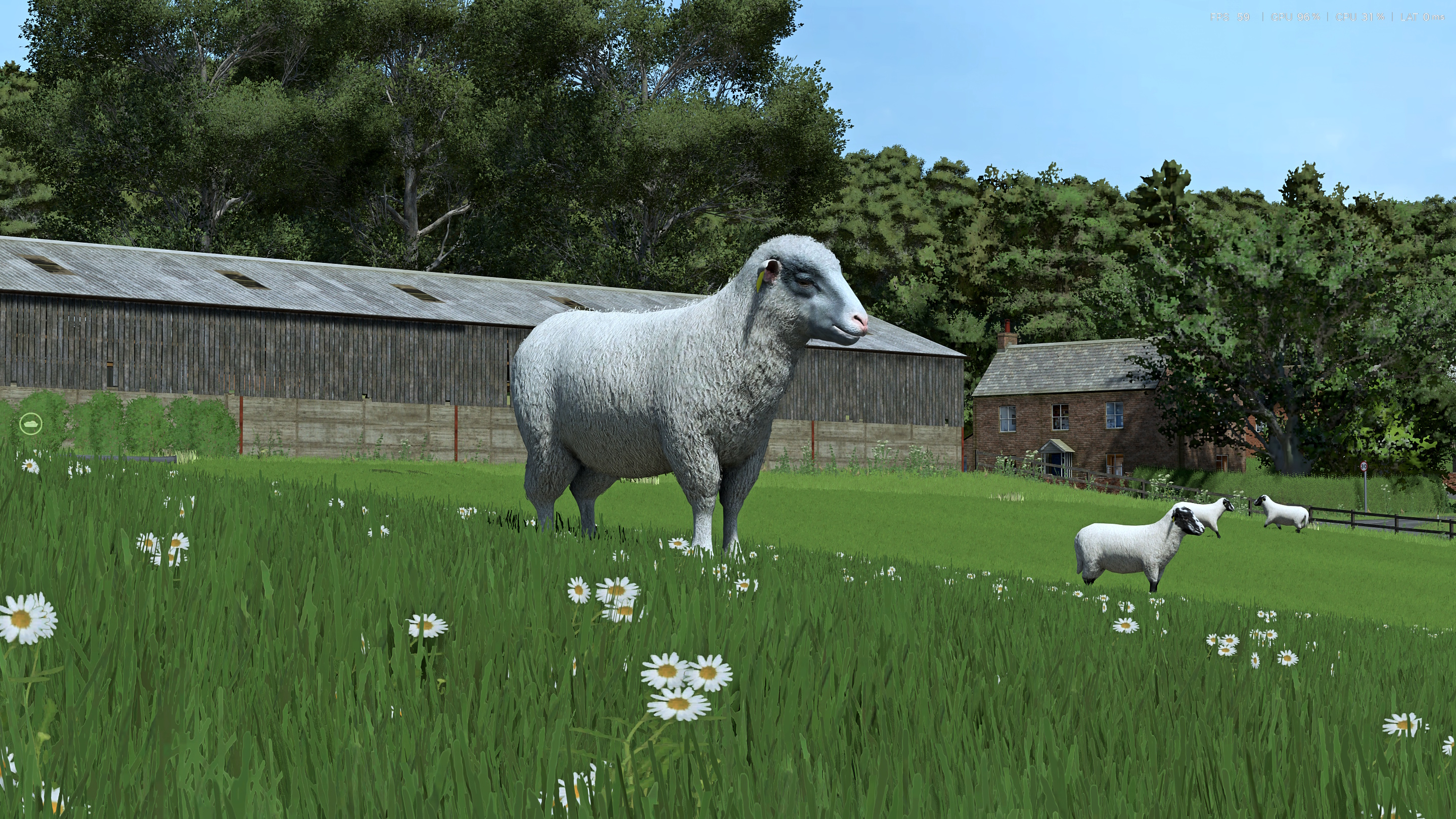 FS25 Sheep Breeds for RLRM by Con_Gan