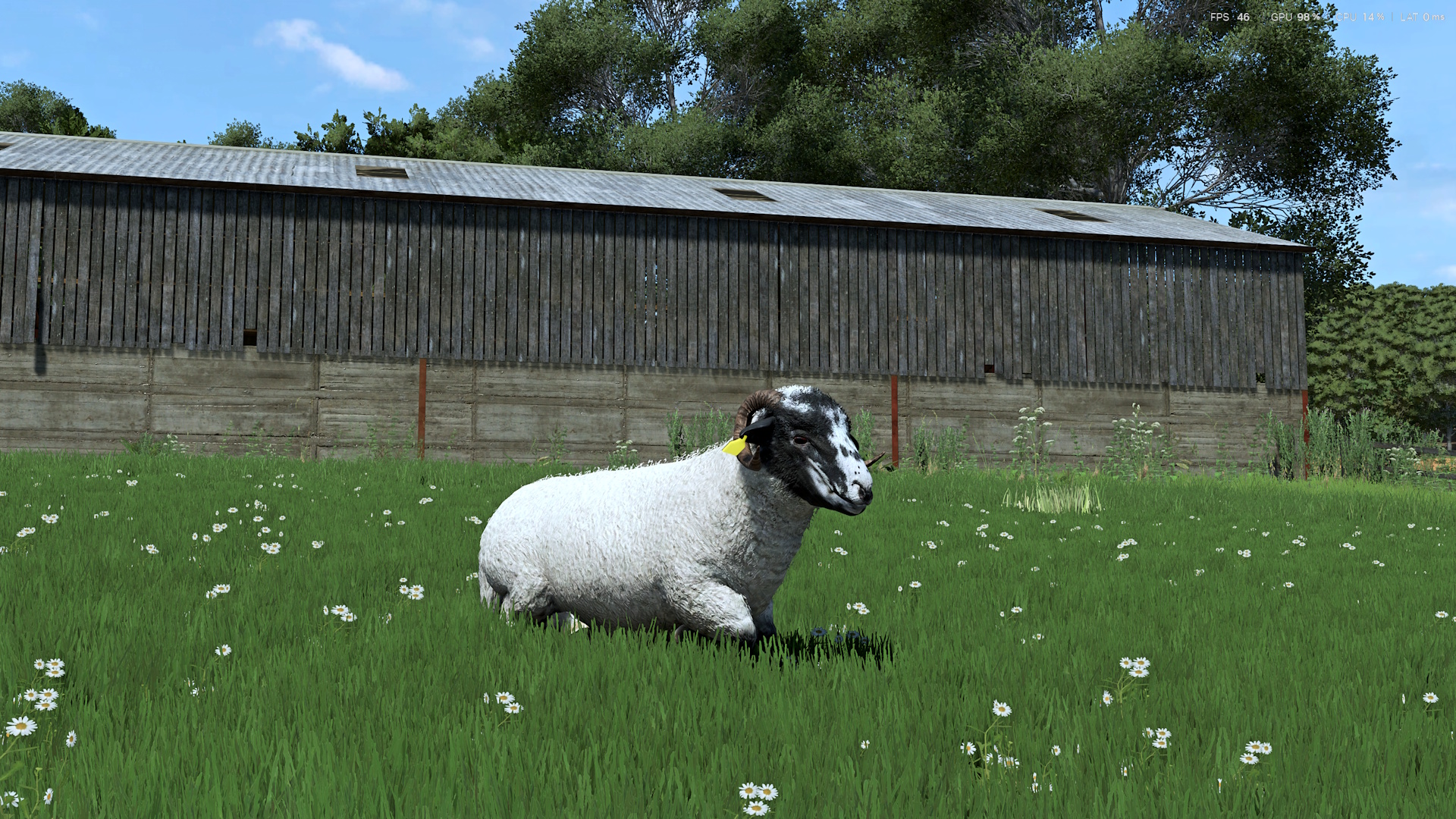 FS25 Sheep Breeds for RLRM by Con_Gan
