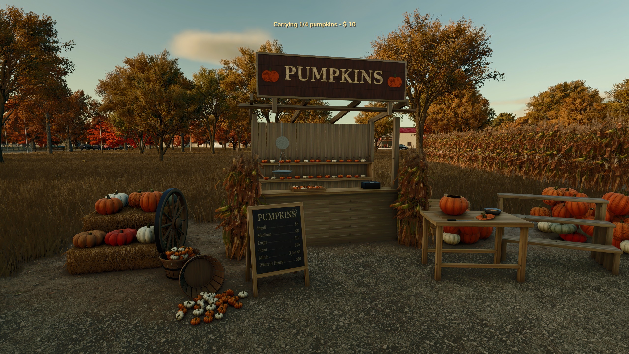 Interactive Pumpkin Patch by Ashmere