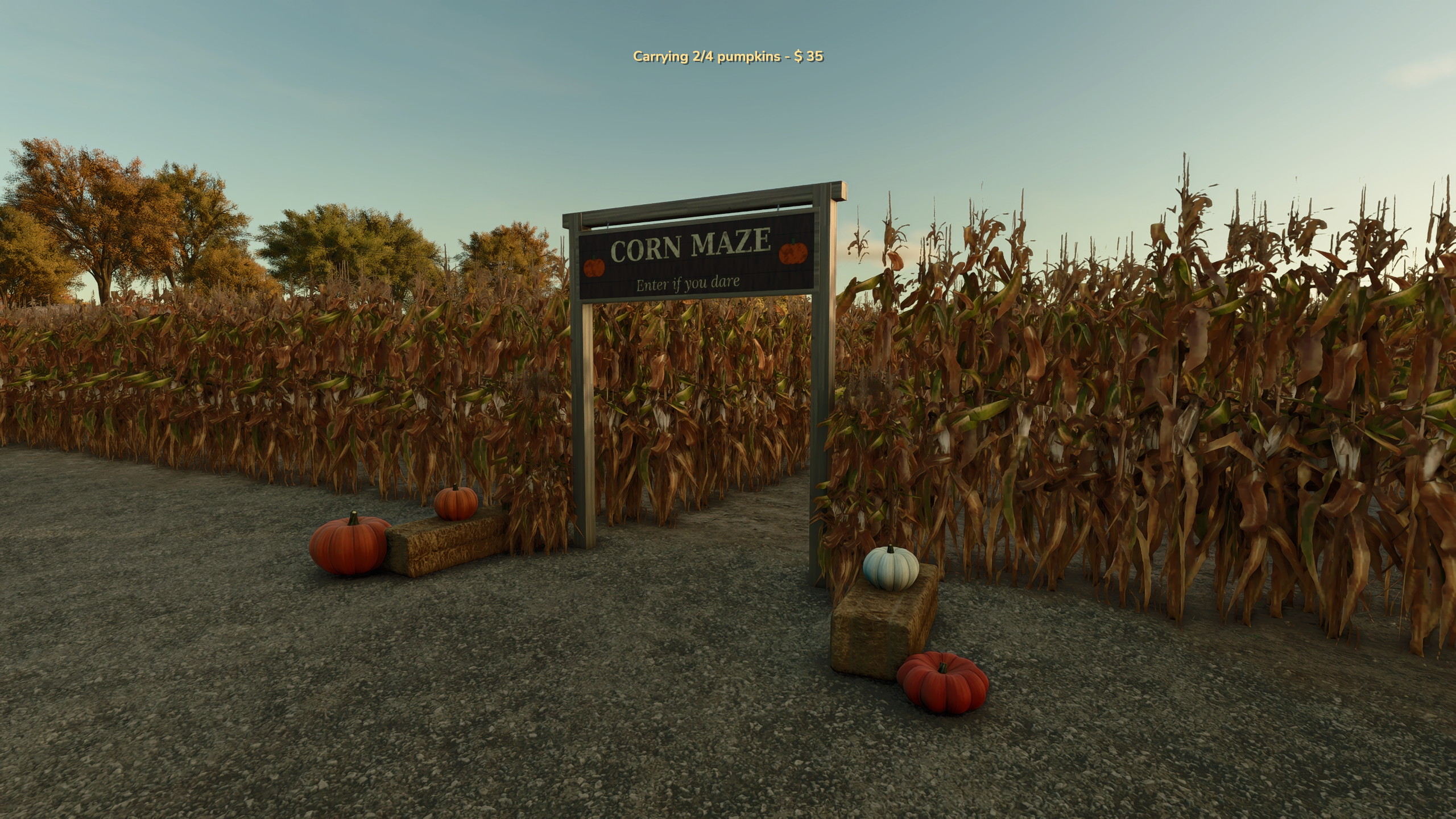Interactive Pumpkin Patch by Ashmere