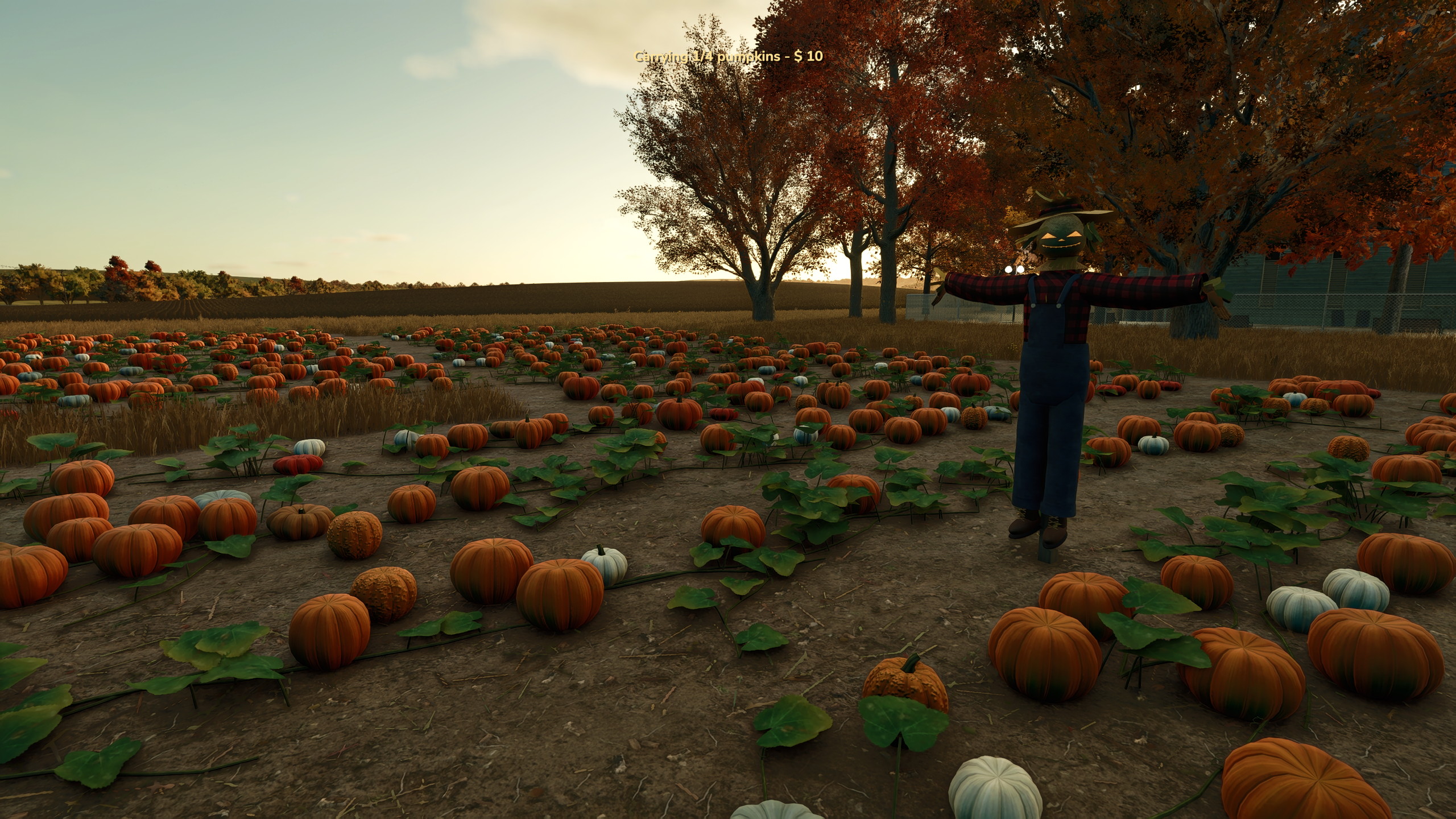 Interactive Pumpkin Patch by Ashmere