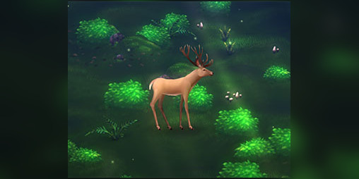 Cover image for The Boundless Forest