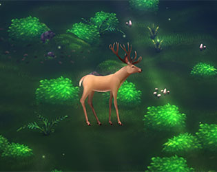 Cover image for The Boundless Forest