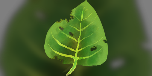 Cover image for Gastropodz