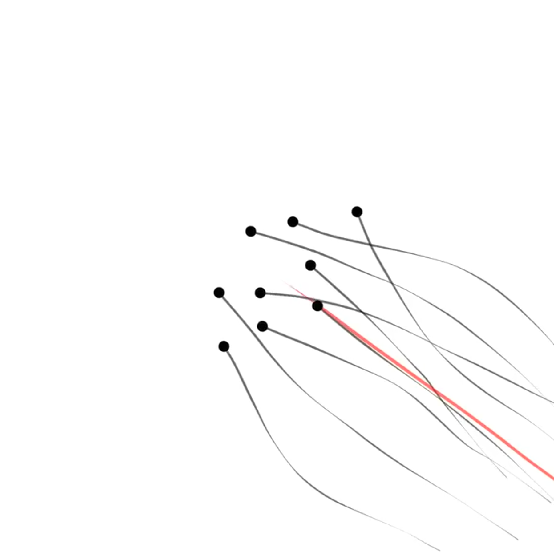 A Model Of Collective Movement Driven By The Visual Field Mac OS