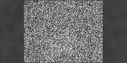 Cover image for noise