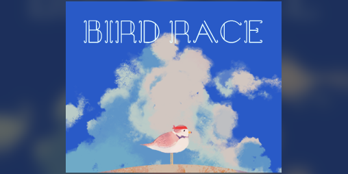Cover image for Bird Race (just a lil test)