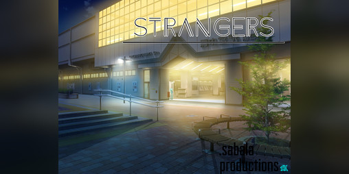Cover image for Strangers