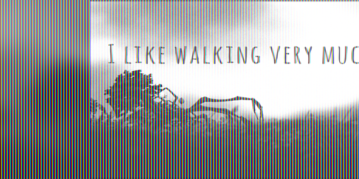 Cover image for I Like Walking Very Much