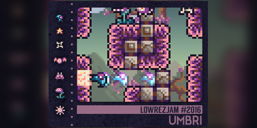 Cover image for Umbri