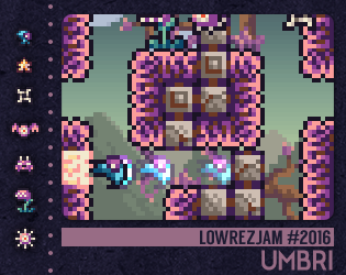 Cover image for Umbri