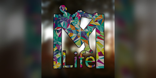 Cover image for Mix Life