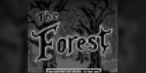 Cover image for The Forest