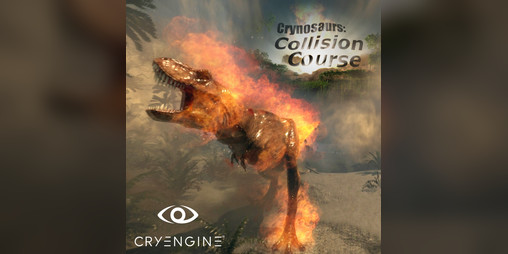Cover image for Collision Course