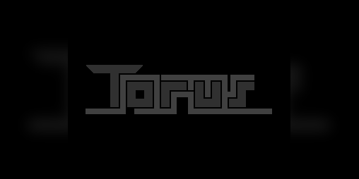 Cover image for Torus