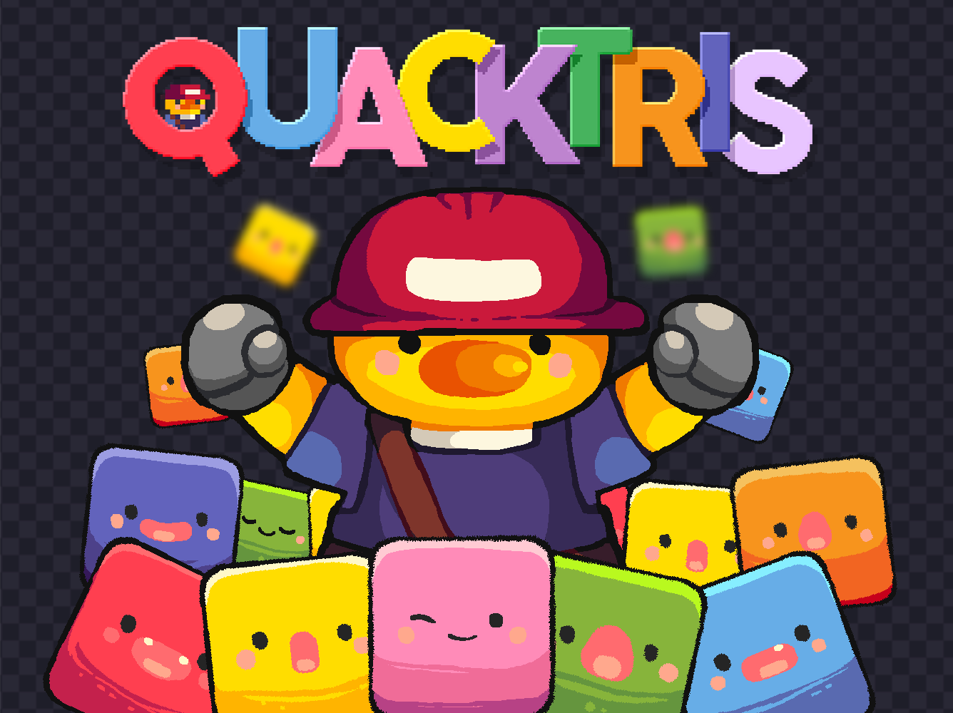 Cover image for QUACKTRIS