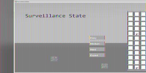 Cover image for Surveillance State