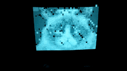 From Grumpy cat to Leekspin, Y-Axis + Random Renders on Minitel with ImgToVdt