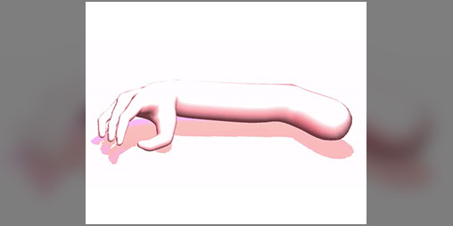Cover image for Brume